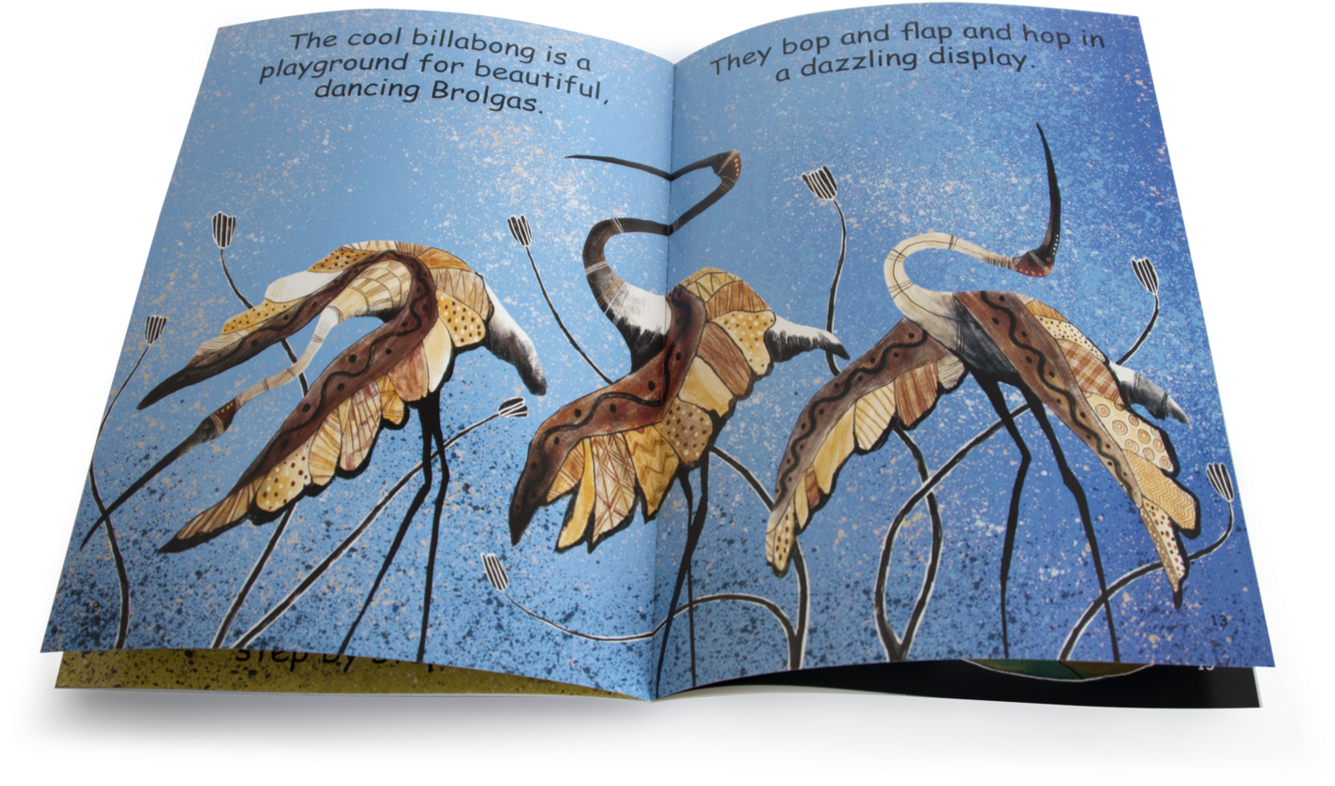 Birds Around The Billabong Educational Big Book Example (1920x1282), Png Download