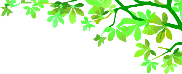 Basic English Grammar (1200x450), Png Download