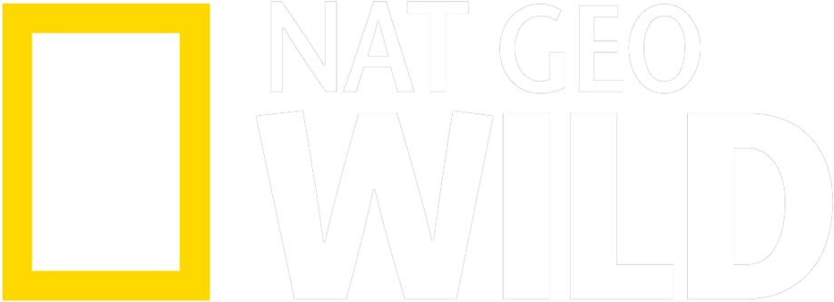 Nat Geo Wild - Nat Geo Wild Hd Logo (1000x487), Png Download