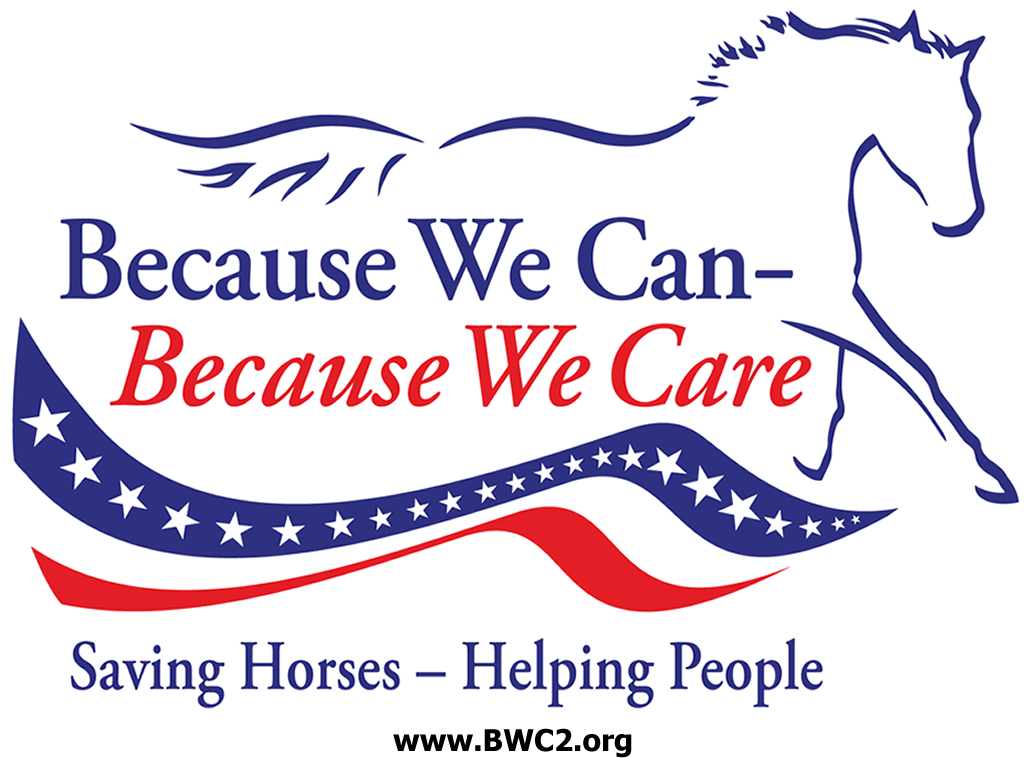 Cosmopolitan Travels, Inc - Funnys (1024x768), Png Download