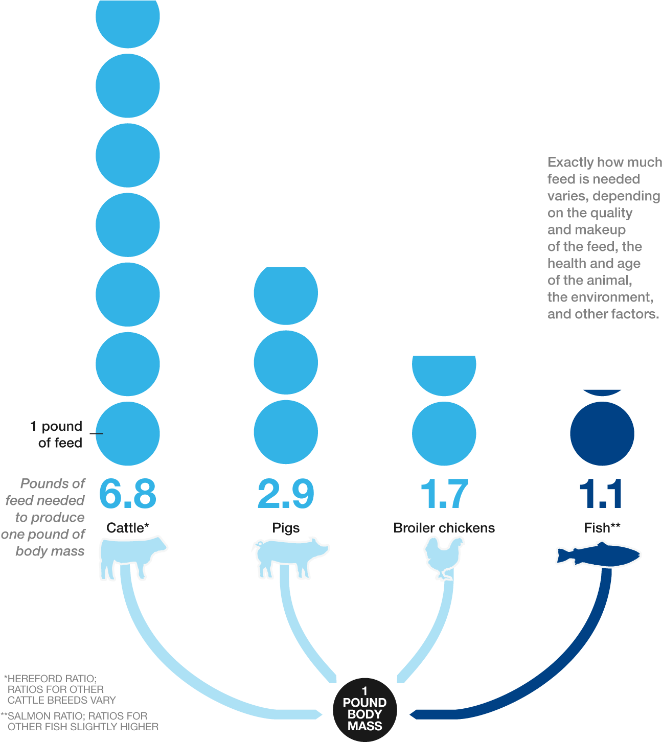 National Geographic Graphic Of Animal Feed Conversion Ratio