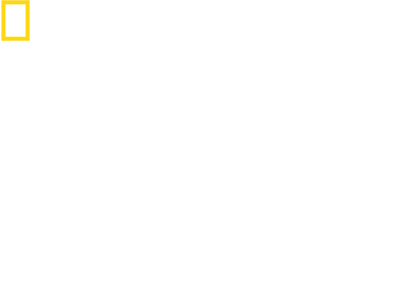 National Geographic Food Festival - National Geographic (1321x953), Png Download