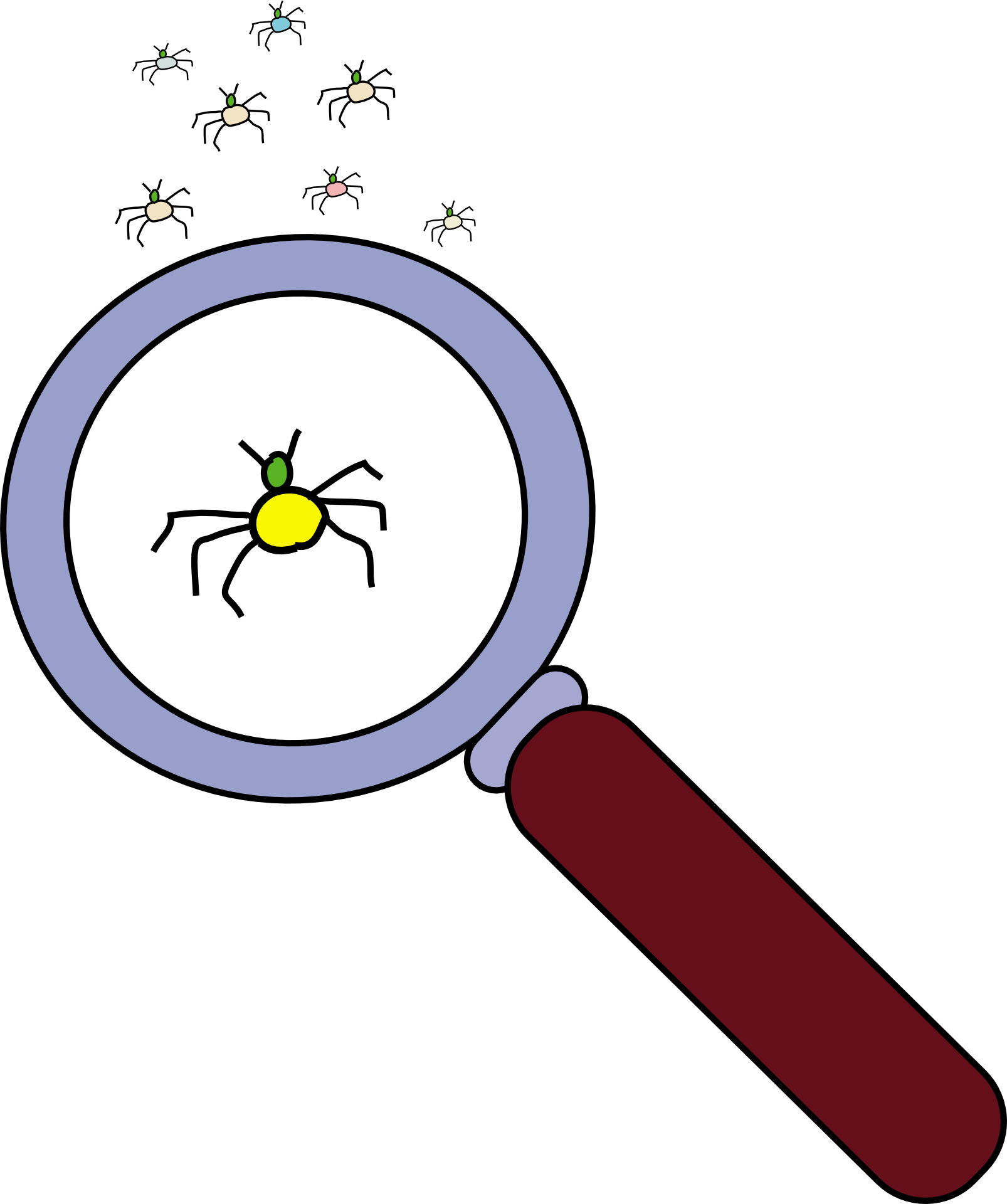 Lens Bug Free Vector Graphic On Pixabay - Investigation Clipart (602x720), Png Download