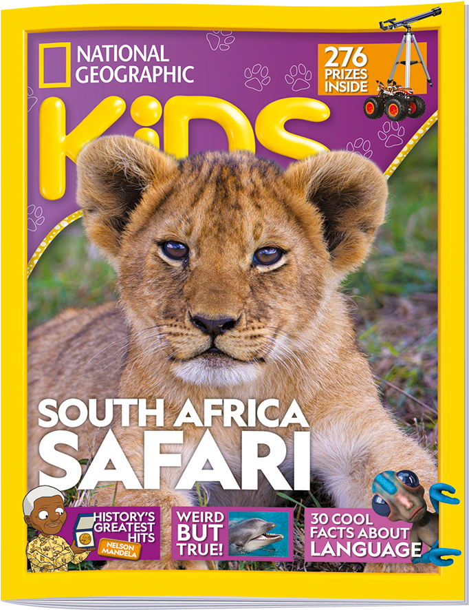 Nat Geo Kids Is A Whole New Way For Children To Explore - National Geographic (800x998), Png Download