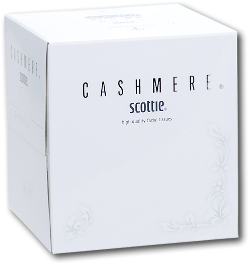 Scottie Square Type Box Tissue - Box (600x600), Png Download