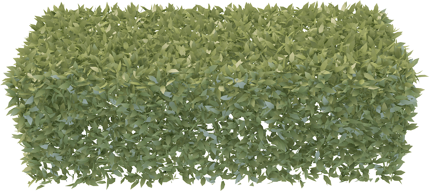 Transparent Wall Hedge - Arbustos Png (2000x2000), Png Download