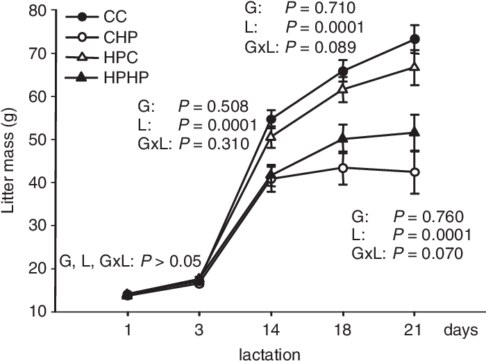 702 X 526 1 - Diagram (702x526), Png Download
