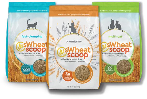 Sign Up Today - Sandwich Cookies (720x563), Png Download