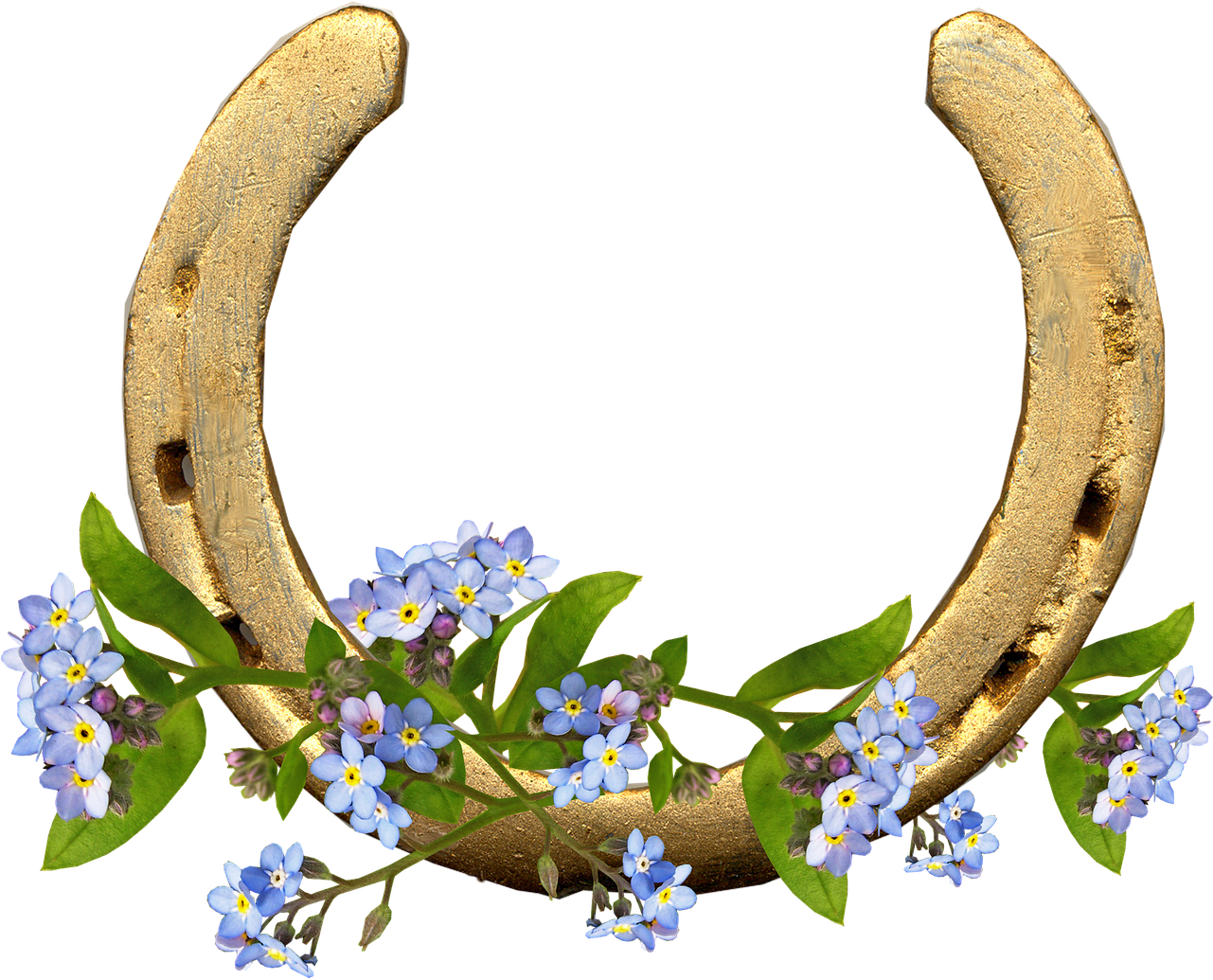 Horse Shoe Forget Me Not Flowers - Horseshoe With Flowers Png (1280x1061), Png Download