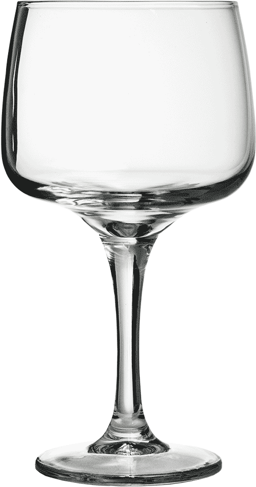 Gin Copa Glass (1000x1000), Png Download