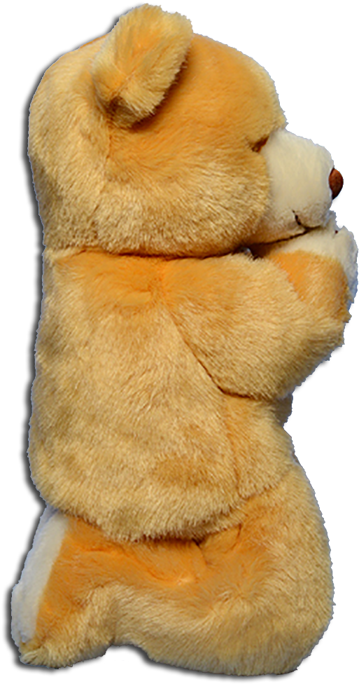 Side View Of Ty Beanie Buddies Hope The Praying Teddy - Teddy Bear Side Png (563x1000), Png Download