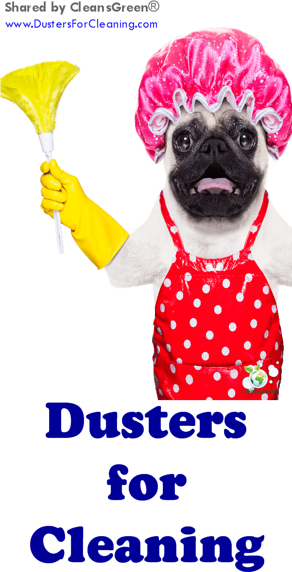 There Is A Wide Selection Of Cleaning Tools Called - Pug Haciendo Limpieza (600x1200), Png Download