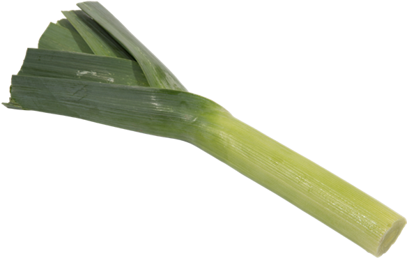 Leeks - Leek (700x700), Png Download