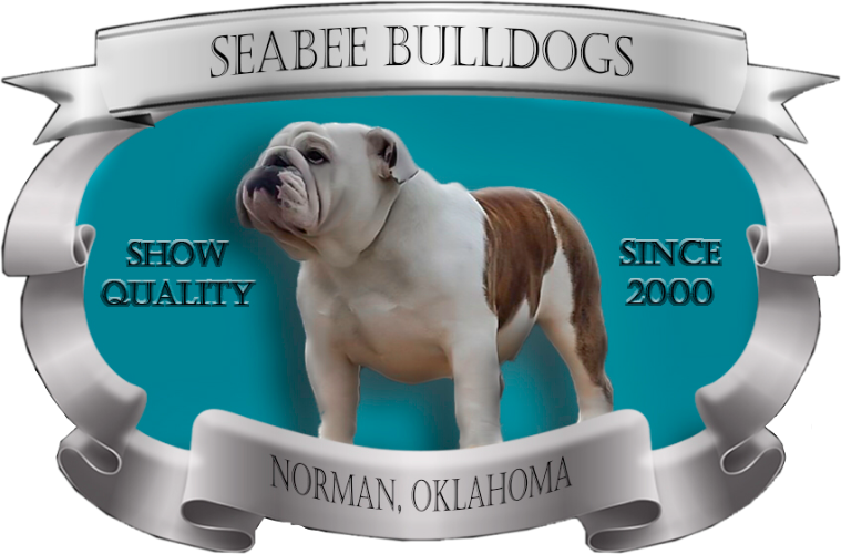 Seabee Bulldogs - Australian Bulldog (759x500), Png Download