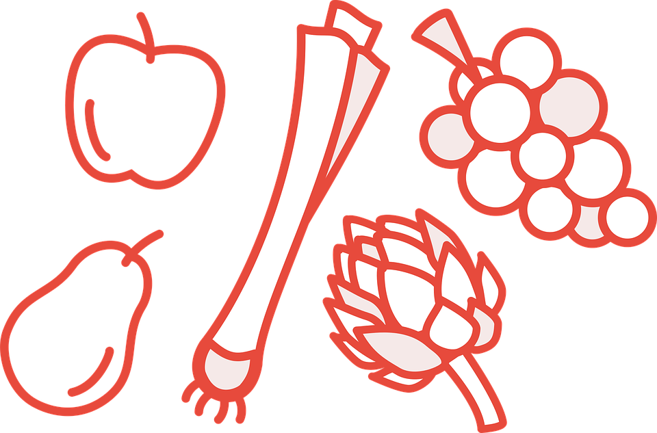 Apple, Pear, Vine, Grape, Artichoke, Leek, Food, Fresh - ภาพ ต้น หอม ลาย เส้น (960x633), Png Download