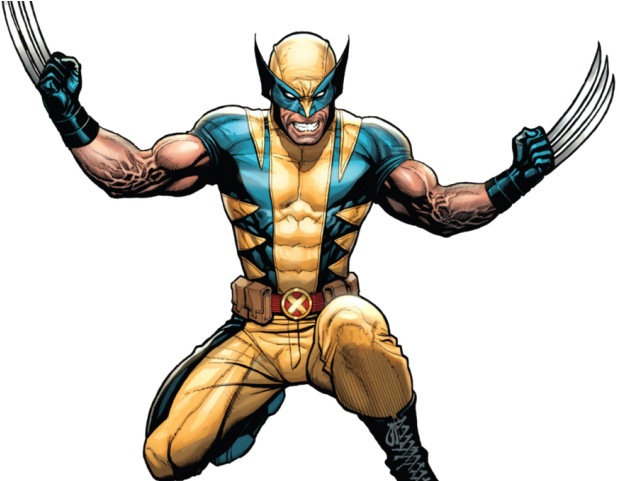Wolverine Clipart 3d Png - Frank Cho Wolverine (640x480), Png Download