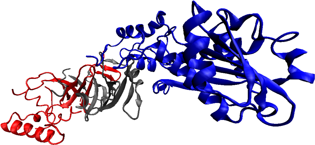 Pdb 3kio Mouse Rnase H2 Complex - Calligraphy (1092x744), Png Download