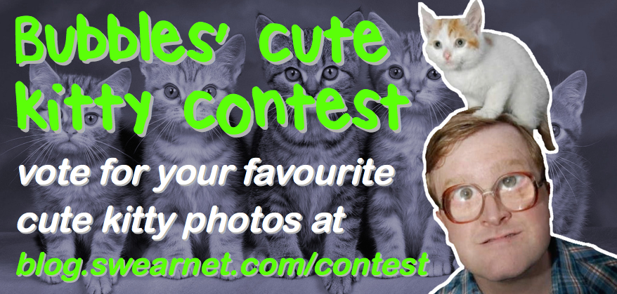 Vote For The Cutest Kitty In Bubbles' Photo Contest - Squitten (878x419), Png Download