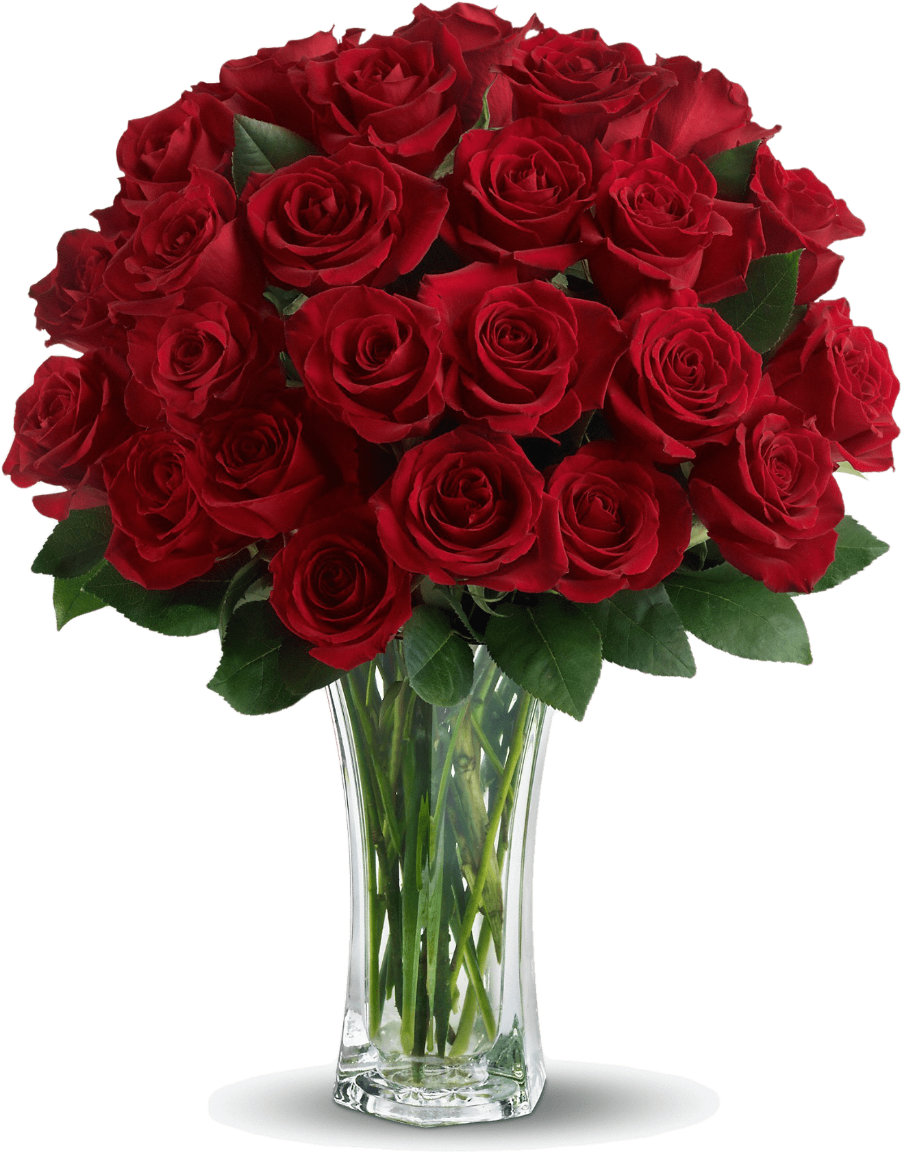 Download Rose Png Free Photo And Png Images - Roses For My Wife (1500x1725), Png Download