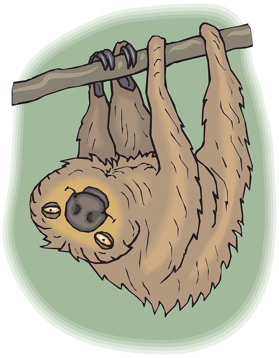 Sloth Clip Art Png Cartoon (561x720), Png Download