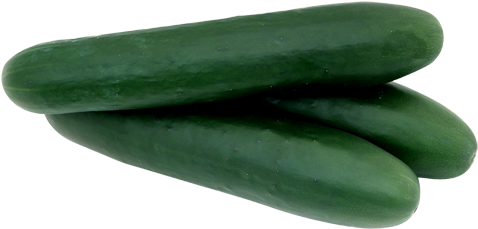 Auriga - Cucumber (600x600), Png Download