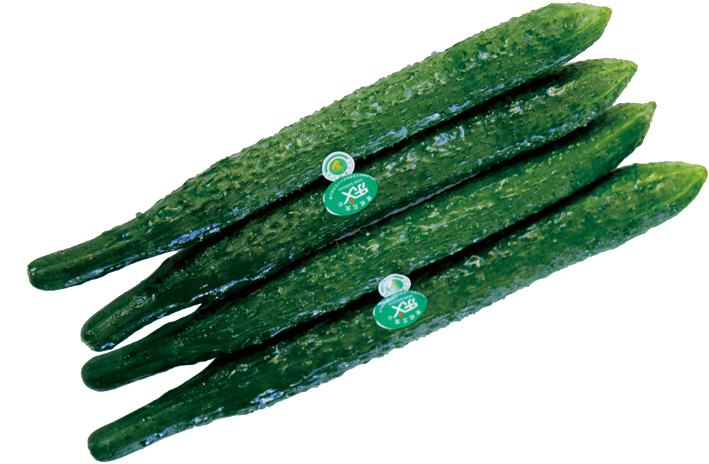 Png De Alta Definicion De Pepino - Nail (1024x1024), Png Download