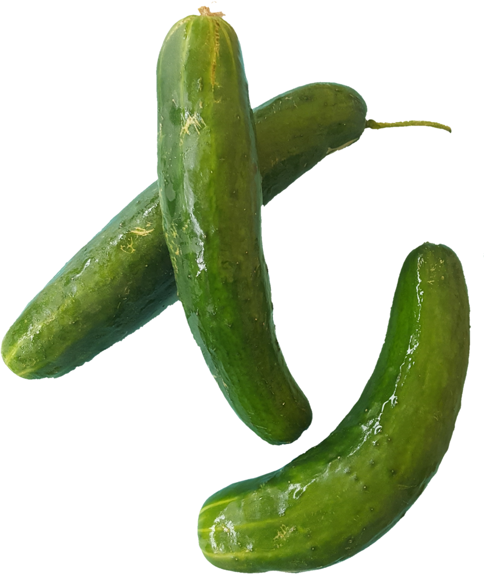 1531938448641 - Cucumber (1000x1213), Png Download