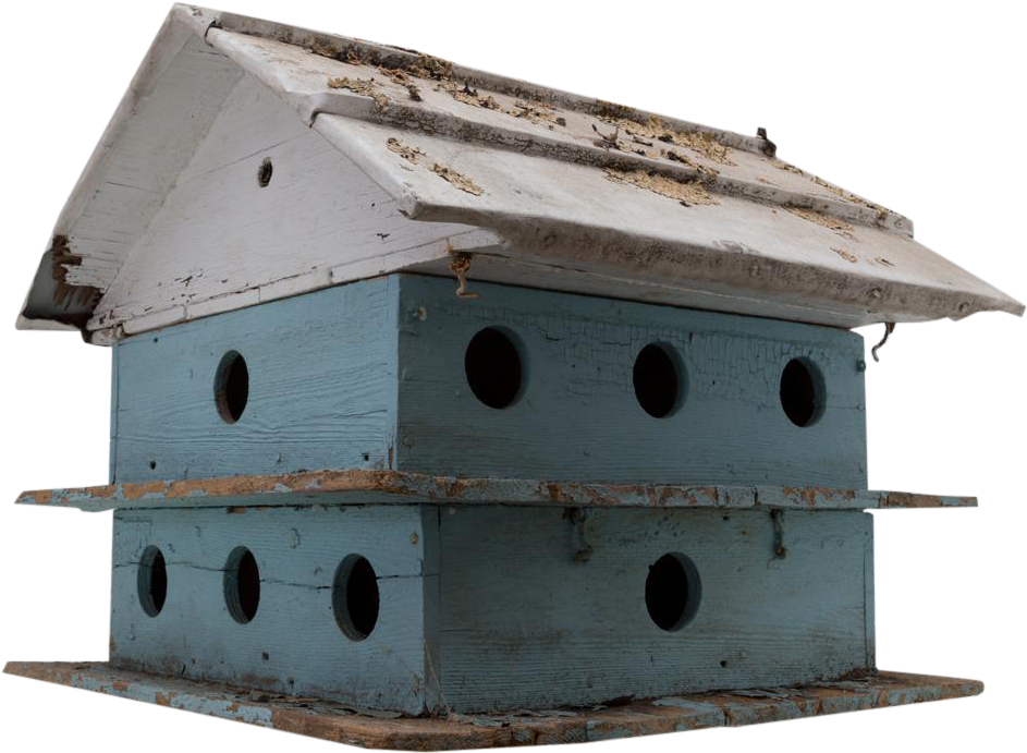 Graphic Freeuse Download Monumental Purple Martin Bird - House (1047x767), Png Download