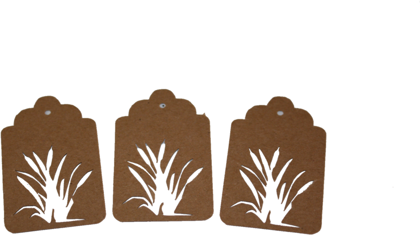 Cattail 1 Tags - Illustration (1024x683), Png Download