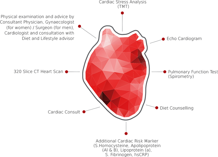 It Shows Not Only Whole Organ Anatomy, But Also The - Diagram (736x531), Png Download