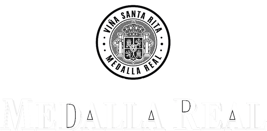 Festival De Cine - Circle (886x504), Png Download