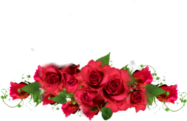 Rose Sticker - Garden Roses (1024x1014), Png Download