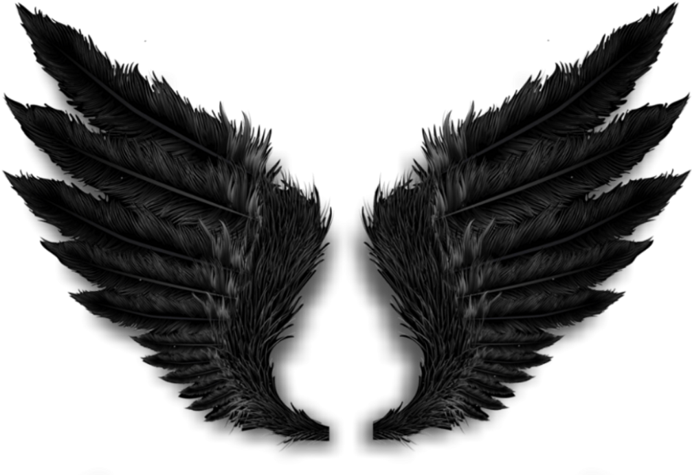 Darkangel Sticker - Black Angel Wings Png (1024x717), Png Download