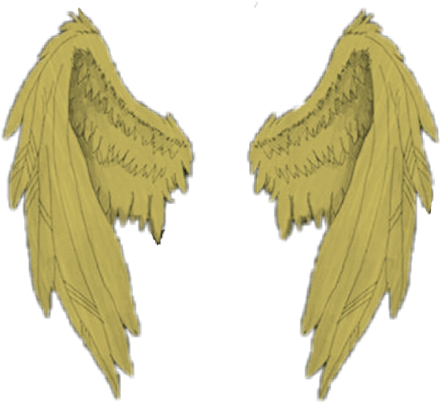 Picsart Transparent Angel Wings (1024x1024), Png Download
