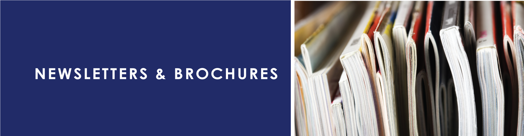 Phoenix Care Systems - Graphic Design (1728x450), Png Download