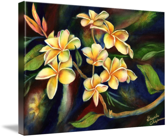 Island Sincerity Yellow By Gayela Chapman Mckelvie - Frangipani (650x533), Png Download