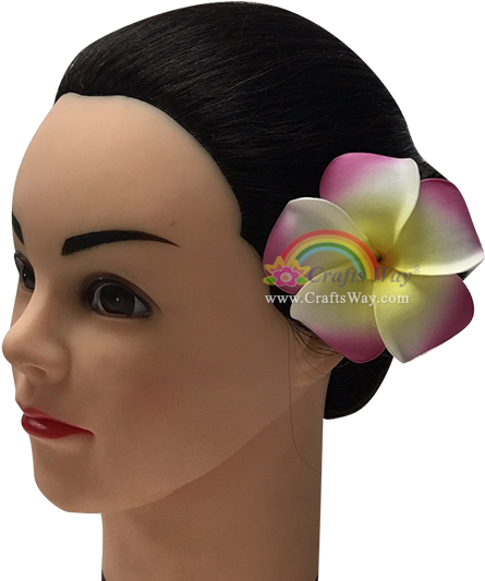 Size Chart - Frangipani (600x542), Png Download