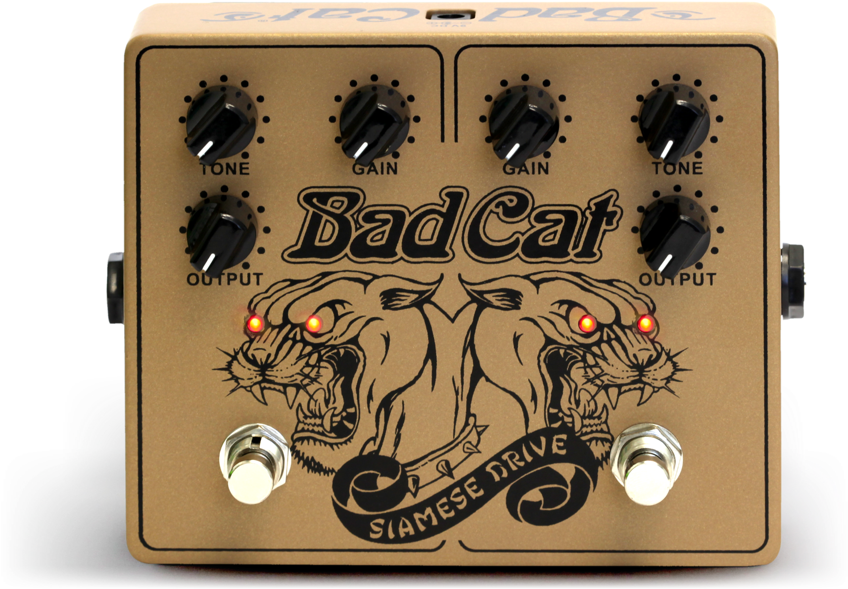 Bad Cat Siamese Drive (2048x1571), Png Download