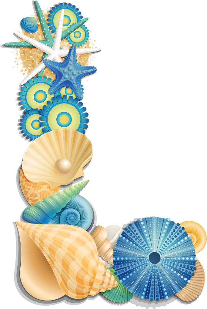 Ꭿϧc ‿✿⁀ Beach Clipart, Typography Alphabet, Alphabet - Letter Sea Shell L (689x1024), Png Download
