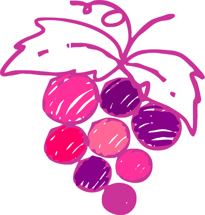 Wine Common Grape Vine Drawing Varietal - Anggur Sketsa (714x750), Png ...