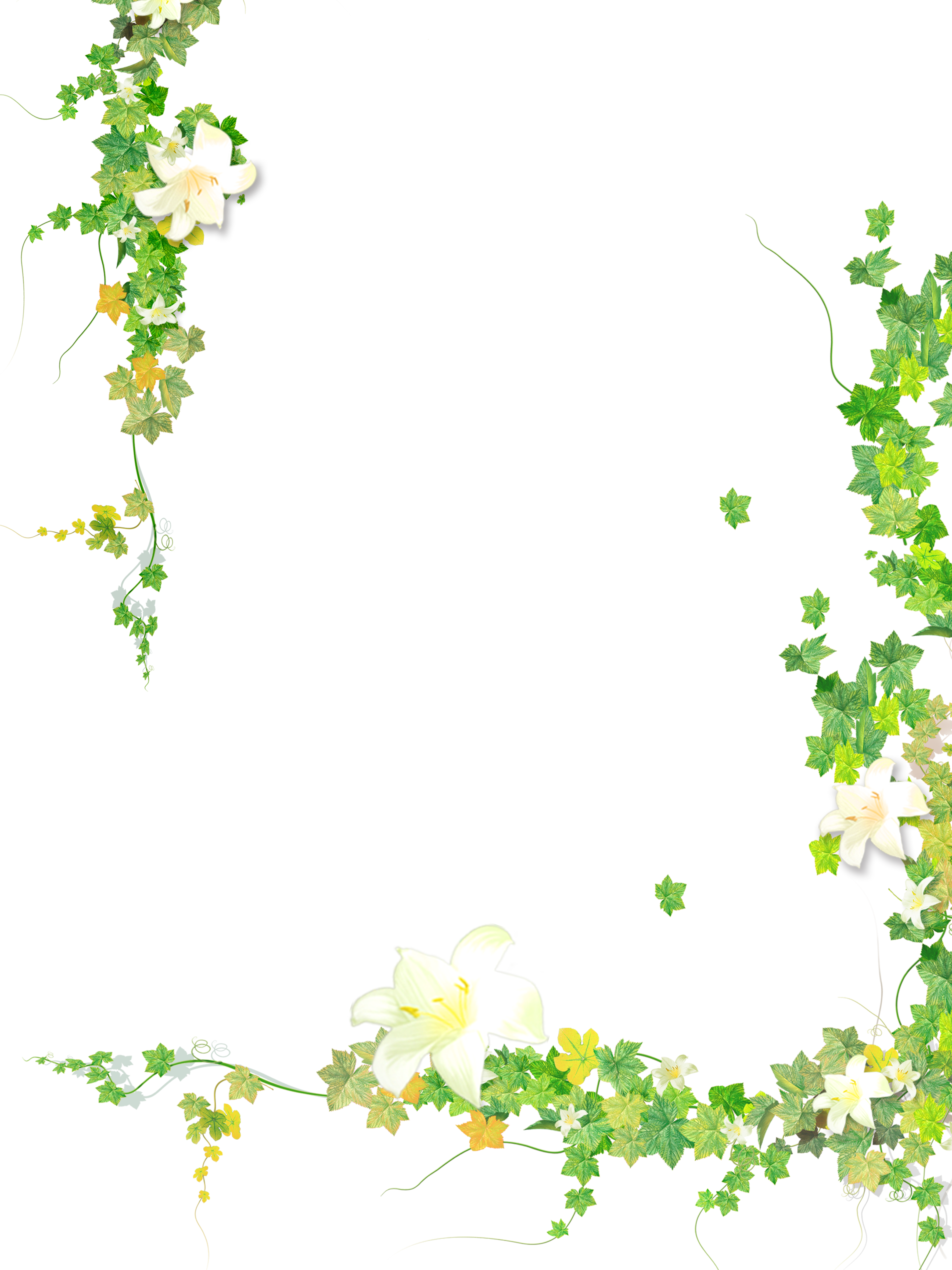 Summer Plant Flower Leaf Painted Vine Hand Clipart - Angel Clipart Transparent Background (3543x4724), Png Download