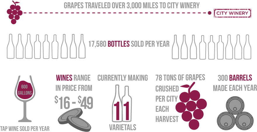 Wine Statistics - Grape (900x500), Png Download