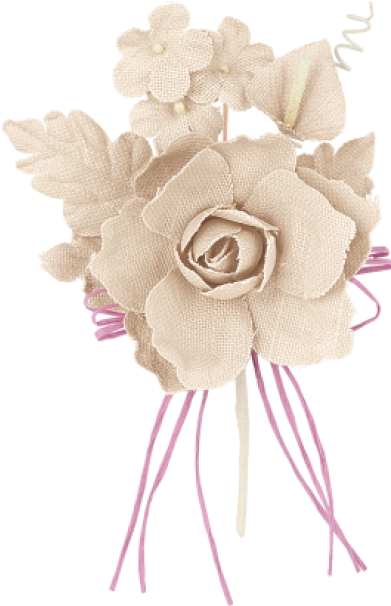 Garden Roses (560x636), Png Download