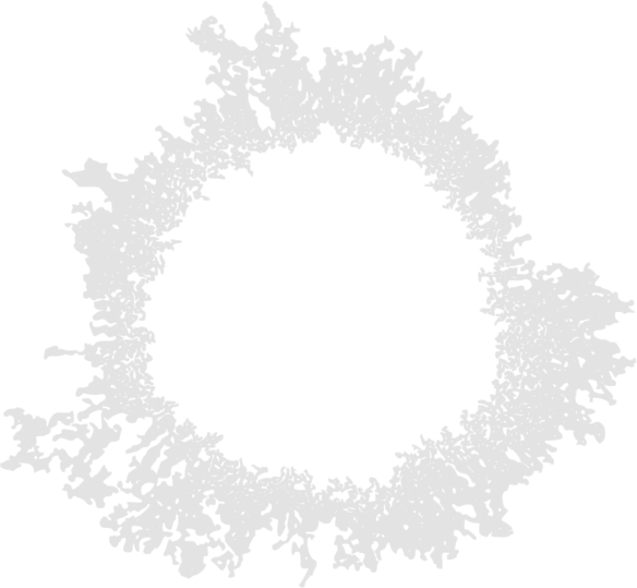 As An Amateur Artist I Have Always Believed That Aspects - Circle (584x539), Png Download