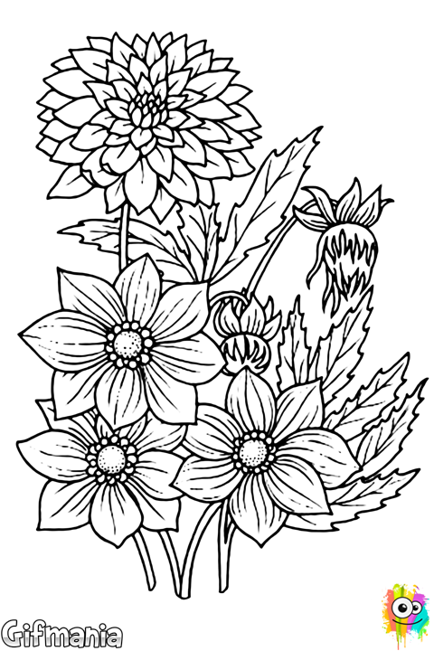 Ramo De Flores Secas Cercle Magique, Monde De Couleur, - Sketch Of Flowers (480x720), Png Download