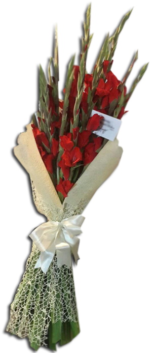 Ramo De Gladiolos - Bouquet (581x693), Png Download