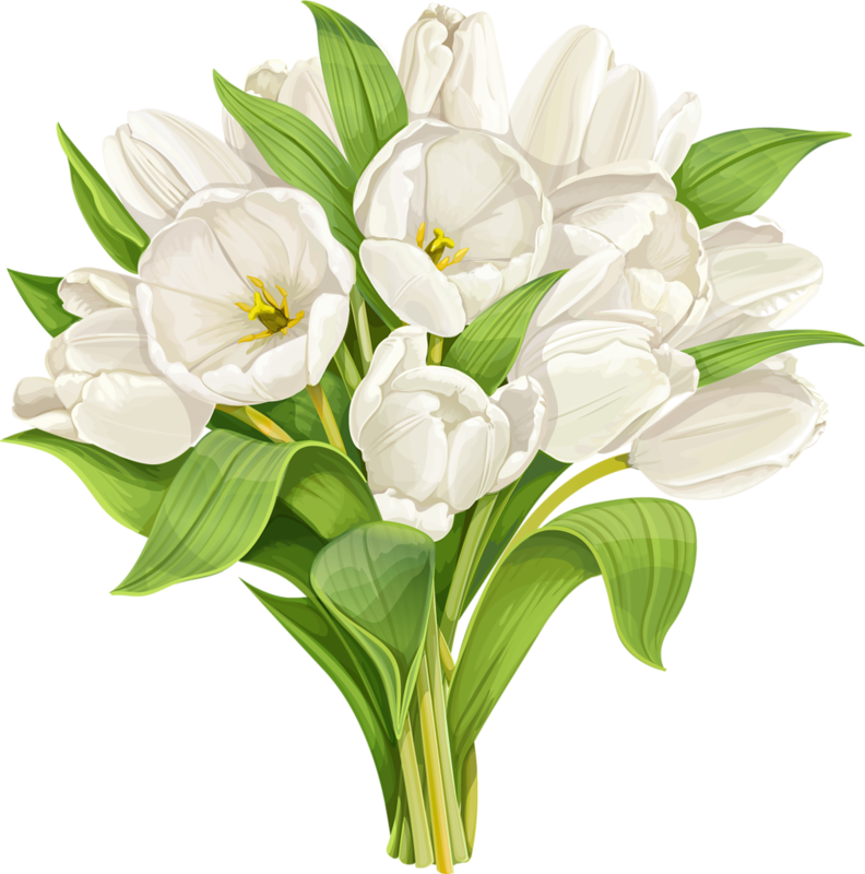 Фотки Imprimibles, Arte Floral, Flores De Arte, Tulipanes - Watercolor White Tulip (792x800), Png Download