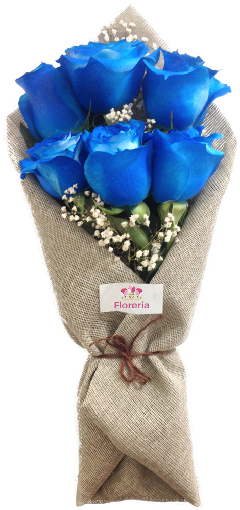 Ramo De 6 Rosas Azules Importadas Grandes Y Frescas - Ramo De 6 Rosas Azules (1080x1080), Png Download