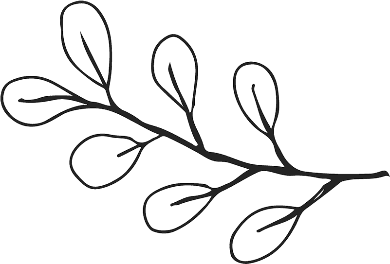 Branch With Round Leaves Rubber Stamp - Line Art (800x800), Png Download