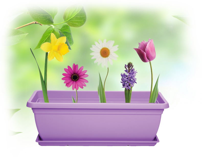 Vaso Di Fiori (790x619), Png Download